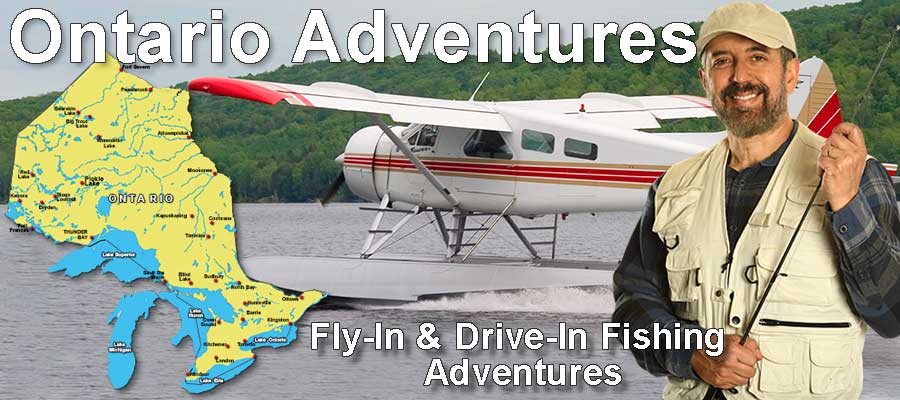 Ontario Helicopter Charters